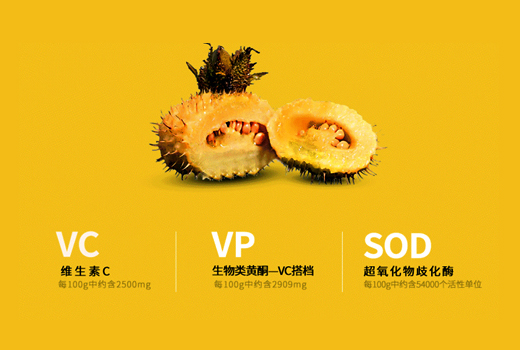天然维生素C-巴西针叶樱桃贵州刺梨浓缩汁