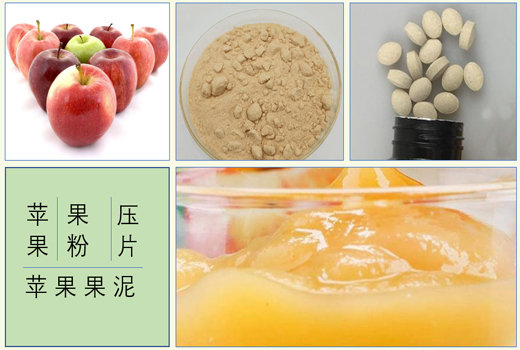 苹果果泥果酱果粉果醋压片精深加工技术