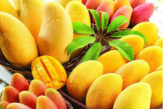 Mango deep processing production line