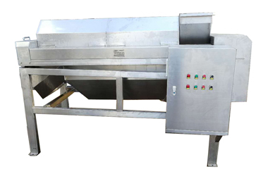 Blanching and peeling equipment