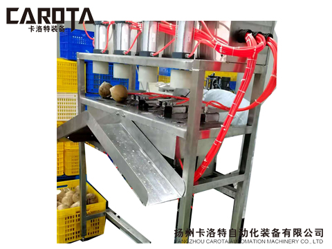 Coconut juice extraction equipment