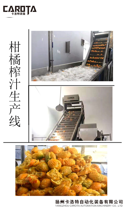 01.jpg